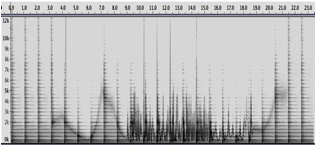 wah_spectrum.tiff