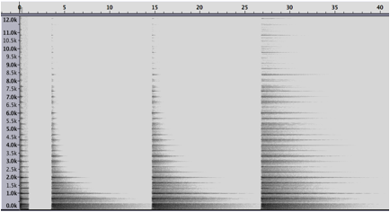 reverberation-dump.tiff